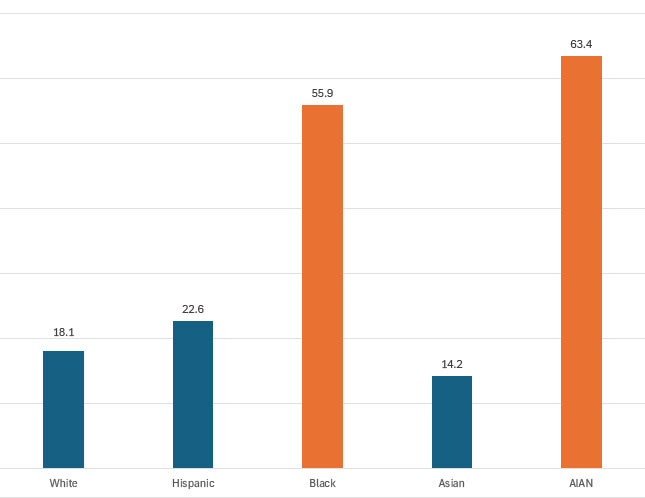 Pregnancy-Related Mortality chart